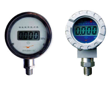 防爆數(shù)顯壓力計(jì)